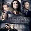 Law & Order: SVU (Special Victims Unit) - American Dream  artwork