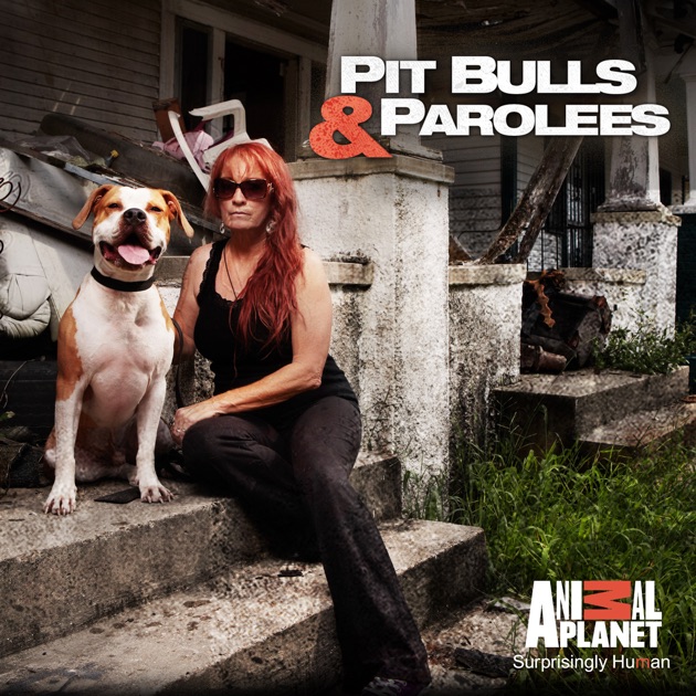 Pit Bulls and Parolees, Season 5 on iTunes Pit Bulls and Parolees, Season 5 on iTunes