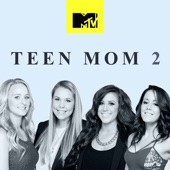 Teen Mom - Teen Mom, Vol. 14  artwork