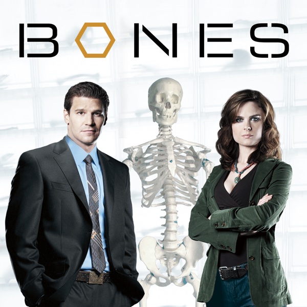 added chapter 1 season 10 bones