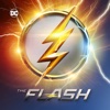 The Flash - Paradox artwork